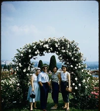 People @ Rose Gardens HERSHEY PA - 1956 Stereo Realist slide #1890