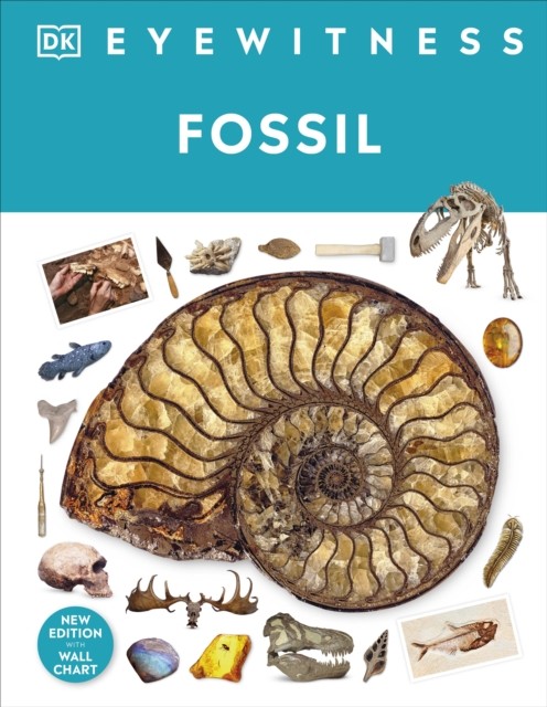 Fossil - Image 3