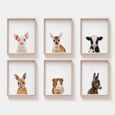 Baby Animal Unframed Photo Prints: Pig, Deer, Cow, Kangaroo, Guinea Pig, Donkey