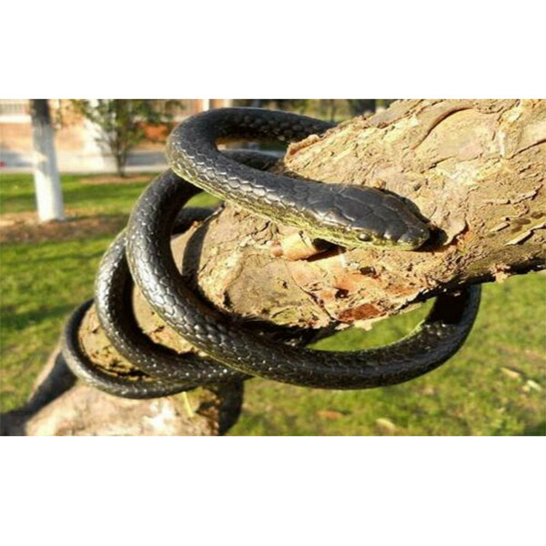 lifelike snakes for sale