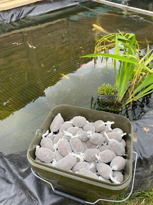 100 Pre tied Pva Mesh balls with a mix of 6mm and 8mm pellet