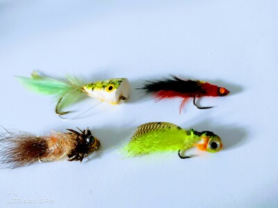4 x Forelle/Hecht/Barsch  - Streamer/Huchen - Fliegen/ Popper /4 - 7 cm./NEU./