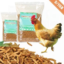 Premium 11Lbs Dried Black Soldier Fly Larvae Mealworms for Chicken Birds Treats