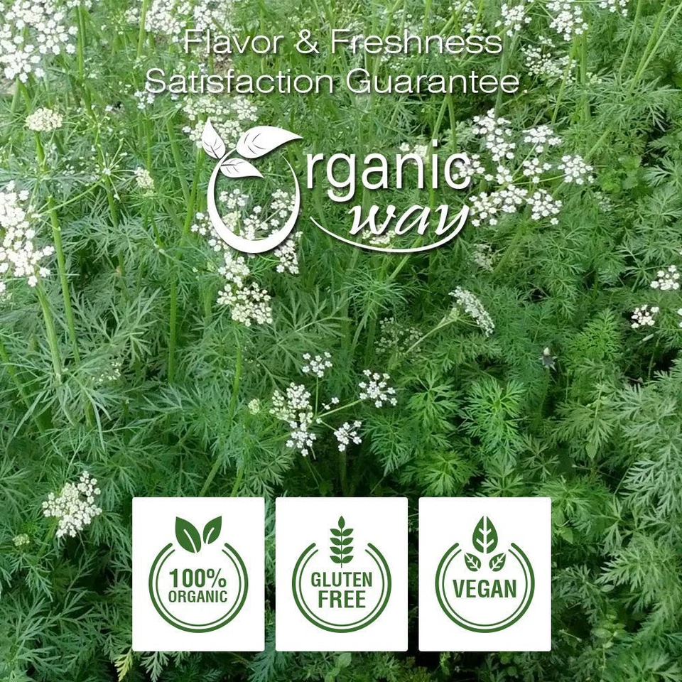 Organic Way Cumin / Jeera Seeds Powder - Kosher & USDA Certified (1LBS / 16Oz) - Image 4 of 4