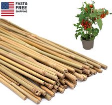 50PCS Plant Stakes,16 Inch Natural Bamboo Stakes,Garden Stakes for Indoor