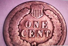  on The Hot Collector