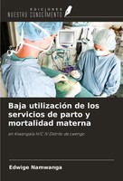 Baja UtilizacióN De Los Servicios De Parto Y Mortalidad Materna Edwige Namwanga