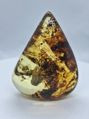 Amber Stone Rare Find Good Luck Success Antique Unique Wealth Artifact Vintage