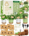 Herb Garden Kit with 8 Heirloom Seeds - Complete Windowsill Planter Starter Set