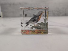 Natural History of Birds Art Cube Glass Sculpture Paper Weight Robin
