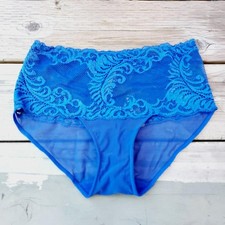 Natori Women's 756023 Small Feathers Mesh Lace Blue Hipster Brief Panty