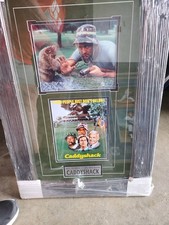 Cabane photo couleur signée Bill Murray huit par dix