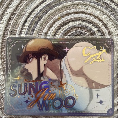 Solo Leveling Mapniverse V2 Sung Jinwoo SEC SL2E-001 NM Small Hidden Chase Card