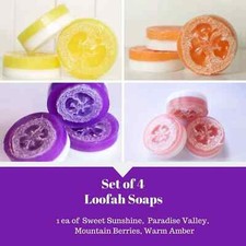 Set of 4 Fragranced Loofah Soaps -Fruity, Fresh, Relaxing, Clean