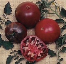 BLACK KRIM TOMATO - ORGANIC - HEIRLOOM - 20 SEEDS