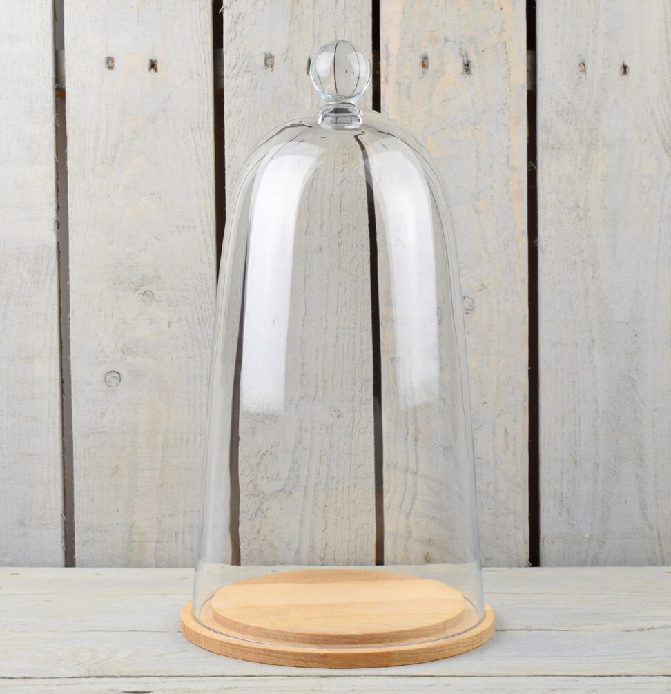 EMH Large Mouth Blown Glass Display Cover Cloche Bell Dome With Natural Base ...