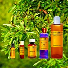 Bay Laurel Leaf Essential Oil · 100% Pure & Natural · 1oz - 16oz