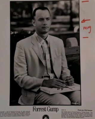 Two Movie Stills Forrest Gump Tom Hanks Robin Wright 1994 8x10 Glossy Paramount