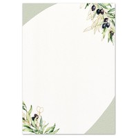 Briefpapier Olivenzweige - Din A4 Format 20 Blatt