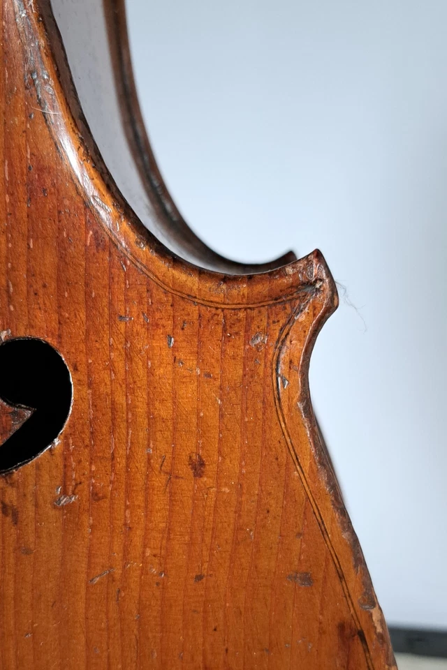 4/4 cello by Carl Gottlob Schuster Mark Neukirchen 1896 - Image 2 of 4