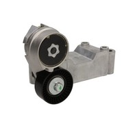 Spannarm, Keilrippenriemen Schaeffler INA 534 0146 10