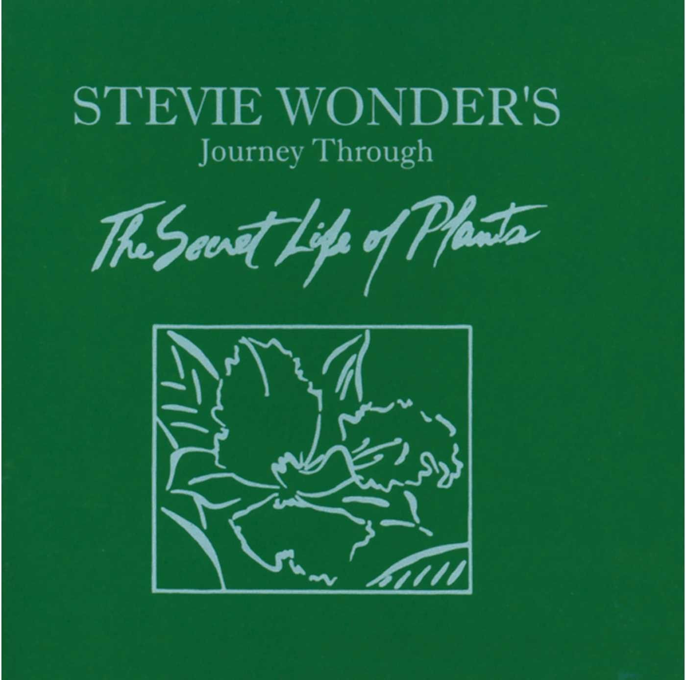 Stevie Wonder Journey Through the Secret Life of Plants Double CD NEW