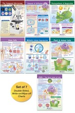 Cells Bulletin Board Chart Set Grades 35 Educational Full Color 12x18 Inch
