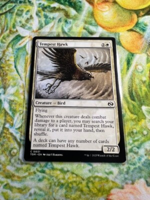 mtg tempest hawk commander deck Magic The Gathering - Tarkir: Dragonstorm - none) element.class 35 Tempest Hawks in One