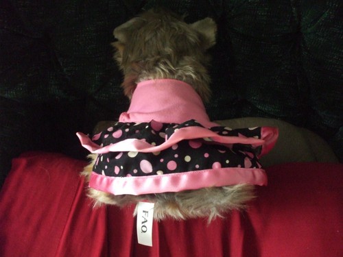 FAO Schwartz 9" plush Yorkie in pretty dress - Picture 3 of 6