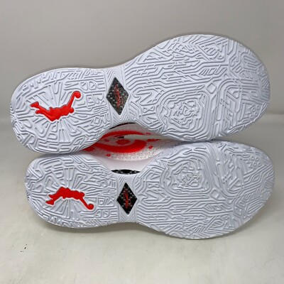 Size 14 - Mimi Plange x Nike LeBron 20 Premium Ceremony for sale