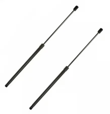 2 OEM Trunk Hatch Lift Support Shocks Struts Set for Volkswagen Beetle HATCHBACK