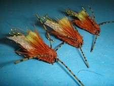 FLY FISHING FLIES - Brown KIWI CICADA Flies size #8 (6 pcs.)