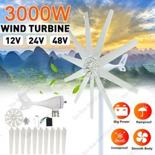 Generatore turbina eolica 3KW 12/24/48V controller di carica regolatore 10 Pale