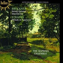 Quintett/Capriccio Von The Raphael Ensemble | Cd | Zustand Neu-image