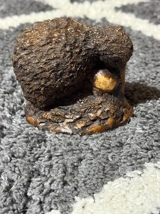 Resin Kiwi Bird with egg, Souvenir of New Zealand, Made in New Zealand, 3" tall