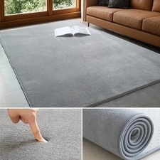 Modern Coral Velvet Carpet Soft Non-Slip Living Room Bedroom Carpet Large