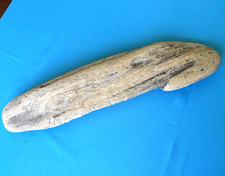 Large 24" FRESHWATER DRIFTWOOD Aquarium, Terrarium, Home, Beach or Garden Art