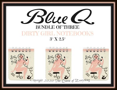 Blue Q   Dirty Girl Notebooks   Bundle of Three   Retired Design!