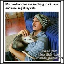 Fridge Fun Refrigerator Magnet "MY TWO HOBBIES ARE RESCUING CATS" Funny Meme