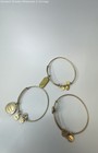 Alex & Ani Gold Tone Assorted Charm Adjustable Bracelets 33.3g — photo 5