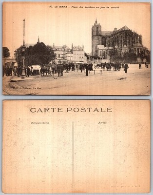 Le Mans France Market Square Cathedral Postcard