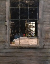 Geraniums by Andrew Wyeth ART Home Decor