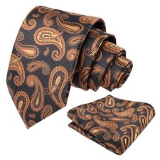 Mens Colorful Paisley Necktie and Pocket Square Sets 144-black coffee