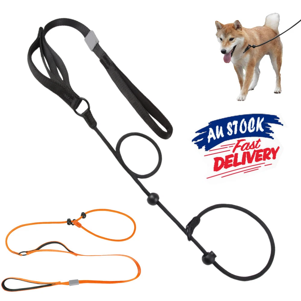 Tangles-Free Slip Lead Dog Leash Highly Reflective No Pull Pet Training Lead AU