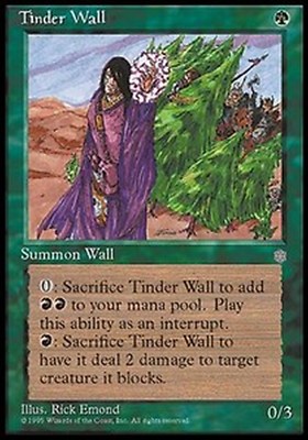 *MRM* FR/VF Mur d'Amadou - Tinder Wall MTG ICE