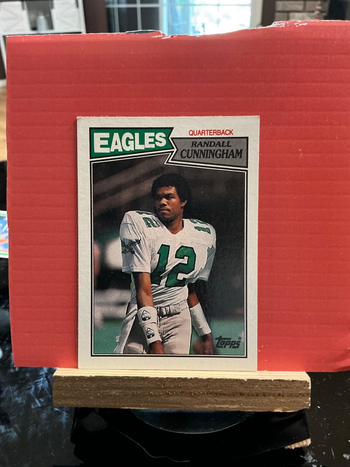 1987 Topps - Randall Cunningham #296