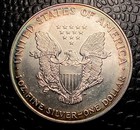 1995 American Silver Eagle $1 Details Coin Strong Eye Appeal Toned Original — photo 2