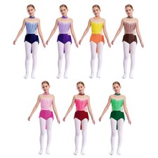Kids Girls Dress Skirted Dancewear Patchwork Bodysuit Tango Leotard Ballet Mesh