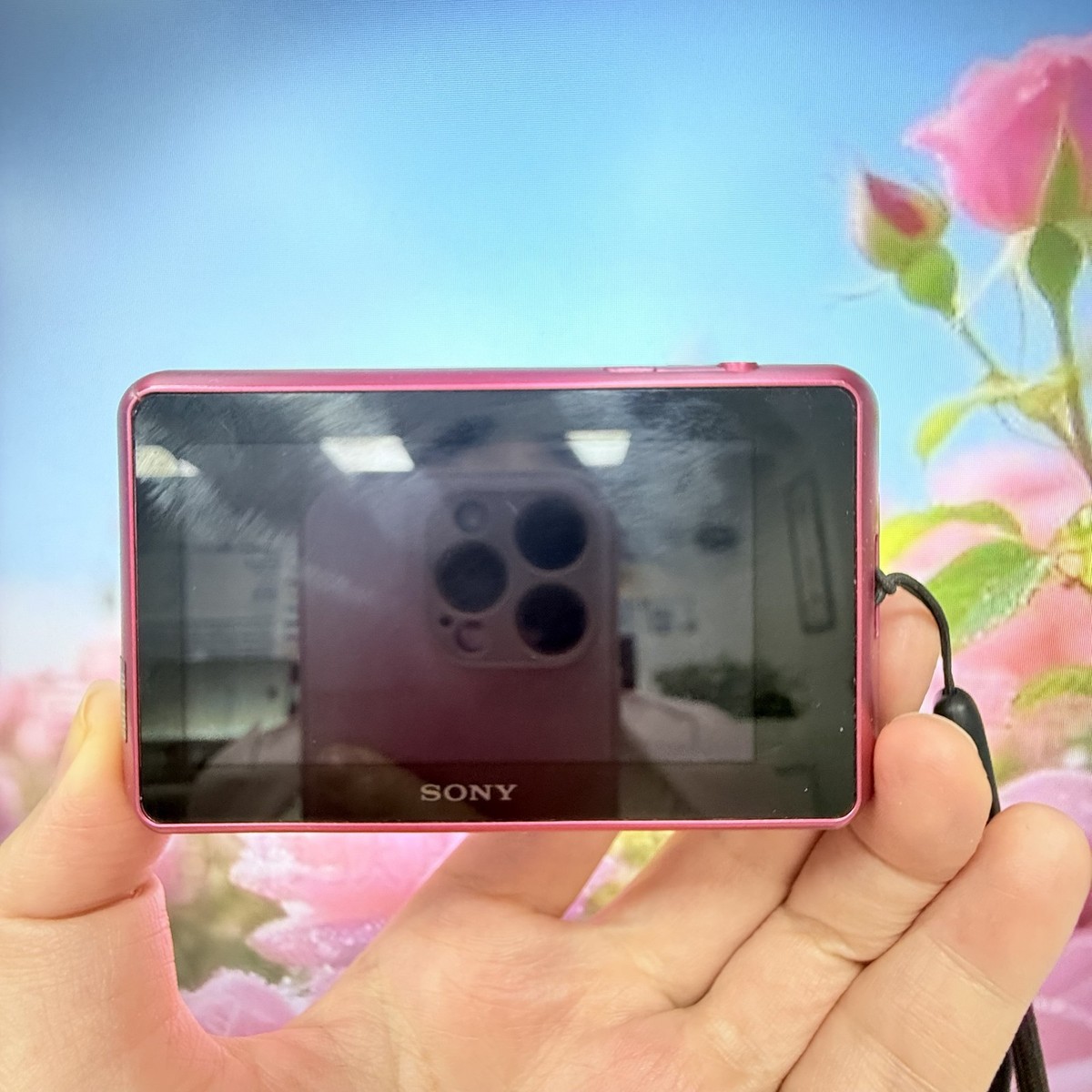 SONY Cyber Shot DSC-TX10 Pink Digital Camera 16.2MP Used From