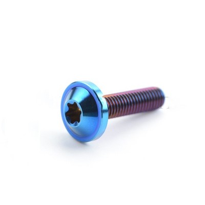 Titanium Bolt M10x10-60mm Plum Head Torx T50 Screws Gr5 for Bike Motorcycle Car
